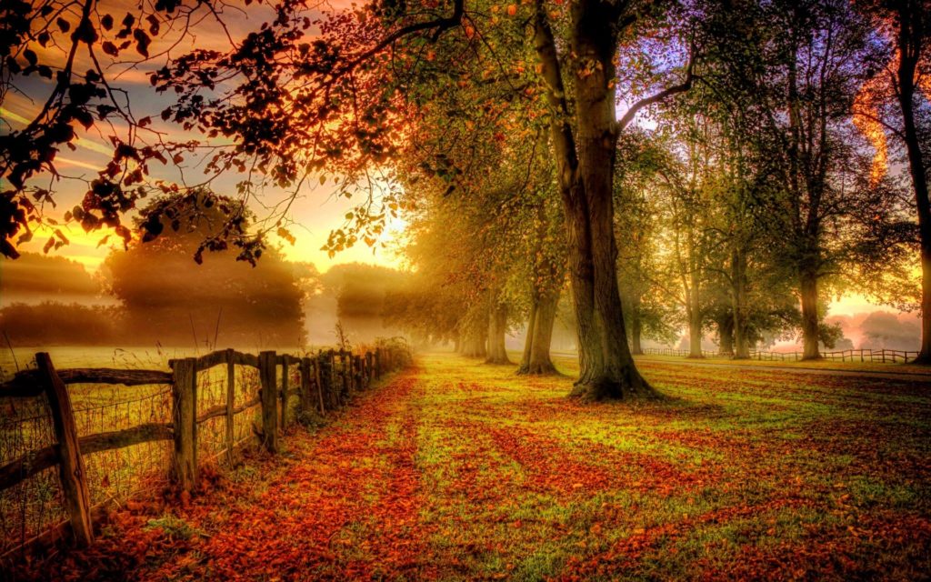 autumn